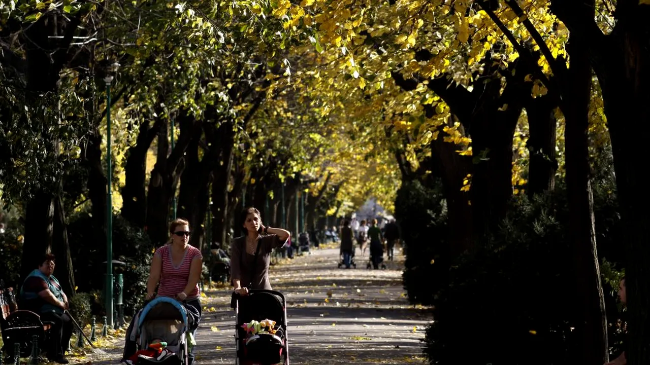 Primăria Capitalei dorește restaurarea Parcului Cișmigiu, făra să se impună defrișări