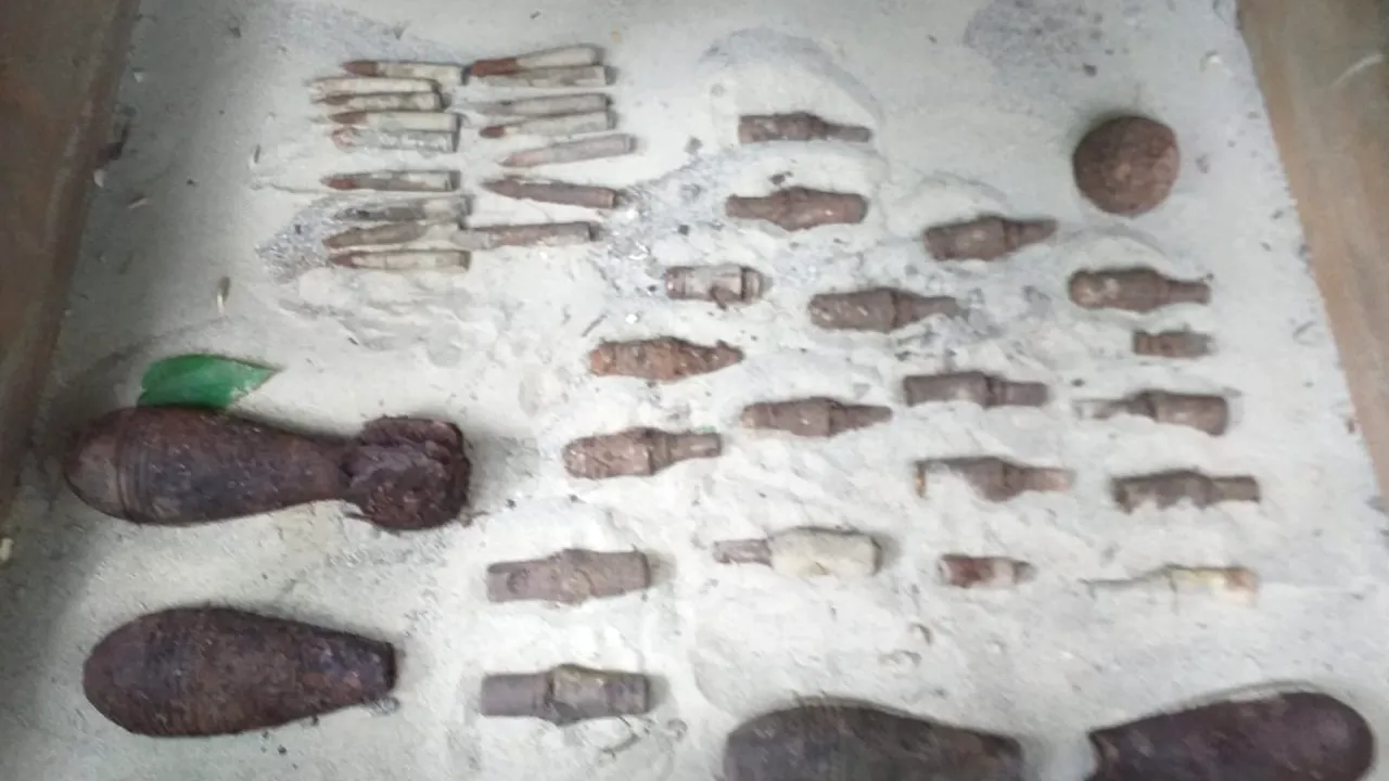 Adevărat arsenal militar descoperit în județul Neamț. Pirotehniștii, uimiți de ce au găsit la fața locului