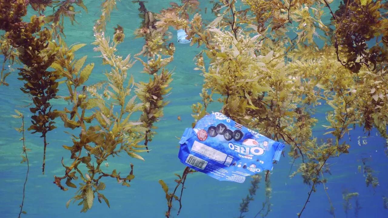 Sfârșitul poluării oceanelor cu PLASTIC? Cercetătorii japonezi au inventat un plastic care se DIZOLVĂ în apa de mare