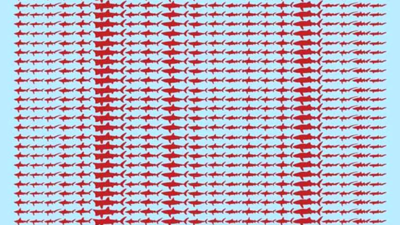 Adevărul despre oameni și rechini. Un detaliu care te va lăsa mut de uimire