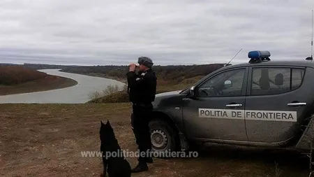 Un câine polițist a fost omorât cu mașina de un contrabandist de țigări