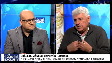 Ce influență au cerealele din Ucraina. Preşedintele Sindalimenta: „Nu este normal să fie luate măsuri care AFECTEAZĂ activitatea și viața românului”