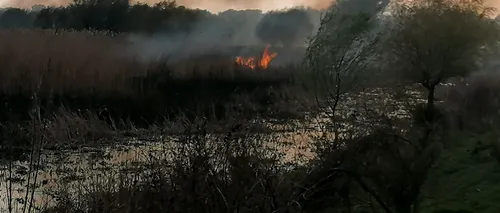 Incendiu puternic în Delta Dunării. O suprafață mare de stufăriș a luat foc | FOTO, VIDEO