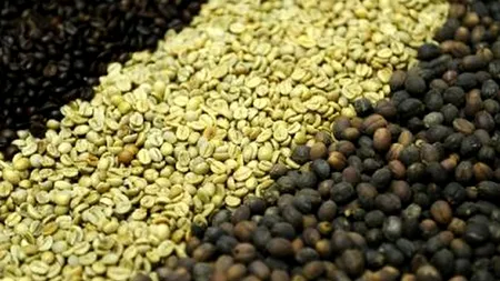 Secretul din spatele unuia dintre cele mai apreciate sortimente de cafea: ''Cel care o consumă ar trebui să știe asta''