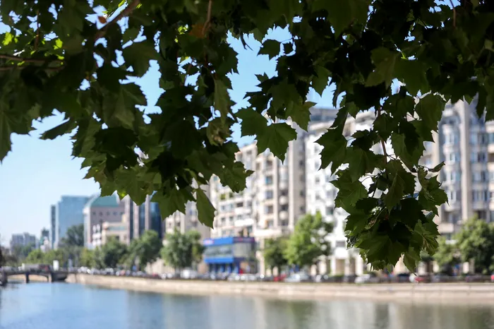 Caniculă în România / Sursa foto: Alexandra Pandrea (GÂNDUL)