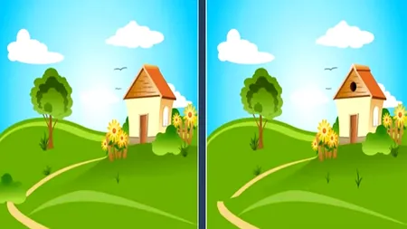 Test IQ | Identificați toate cele 5 diferențe între cele 2 imagini, în 15 secunde!