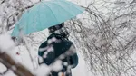 Prima prognoză pentru iarna 2026-2027. Unde va ninge în Europa. Ce surprize va aduce Super El Niño