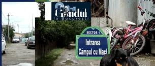 VIDEO EXCLUSIV | Imaginile nepăsării din Sectorul 1. Sute de locuitori din cea mai bogată administrație trăiesc aproape ca în Evul Mediu