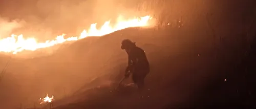 FOTO| Incendiu de amploare în Tulcea. Au ars 15 hectare de vegetație. Focul a fost pus intenționat