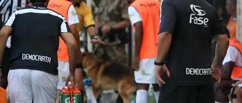 Fotbalist brazilian mușcat de un câine polițist în timpul unui meci