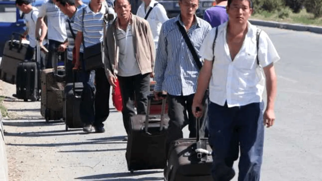 Câte mii de străini au venit în 2023 să muncescă la CLUJ. Cei mai mulți sunt din Sri Lanka, India sau Nepal