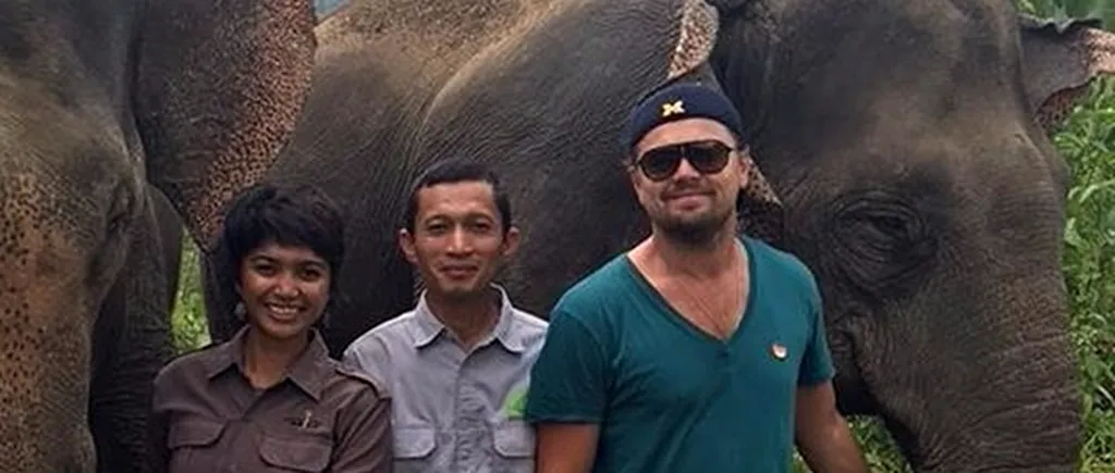 După ursul din Revenant, Leonardo diCaprio a înfuriat și autoritățile in Indonezia