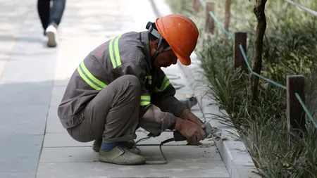 Parlamentul Poloniei a aprobat construirea unui zid anti-migranți la granița cu Belarus