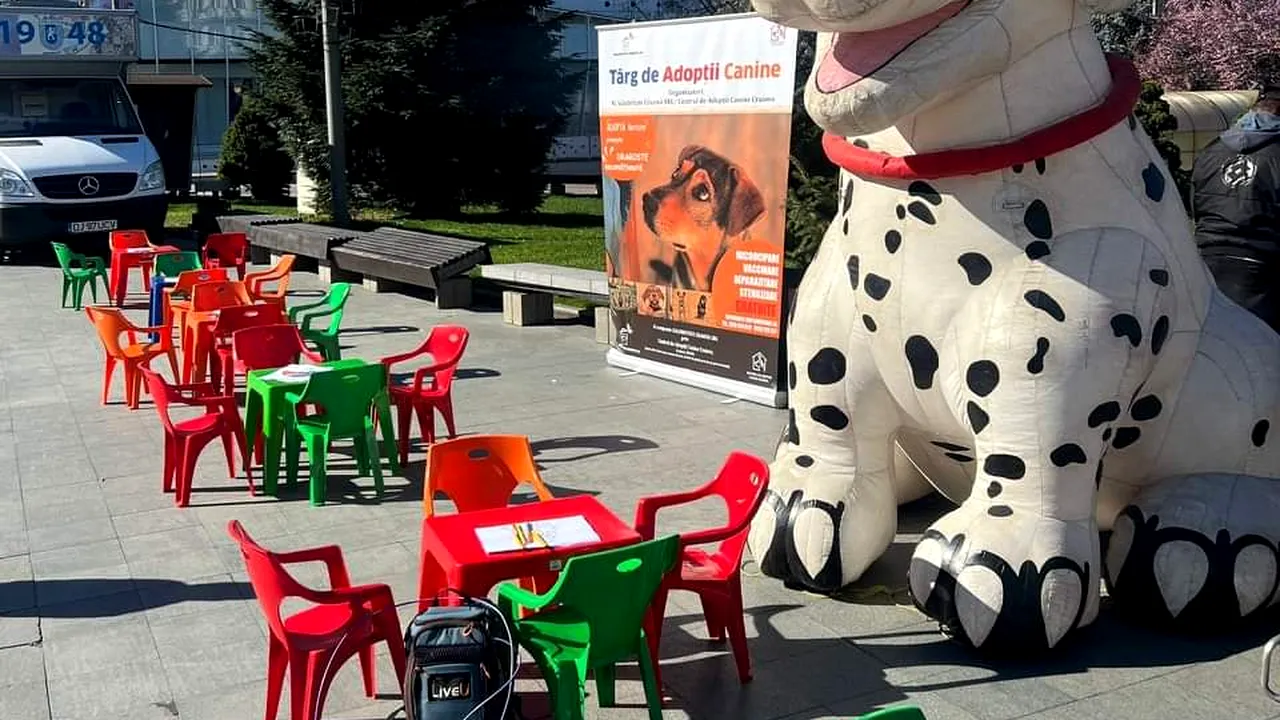 FOTO: Târg de adopții canine în centrul Craiovei. „A dat din coadă când ne-a văzut. A fost motivul pentru care l-am luat acasă”