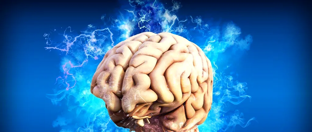 Descoperire uimitoare în dezvoltarea creierului uman. Componenta cheie care dezvoltă funcțiile cerebrale, precum învăţarea sau memoria