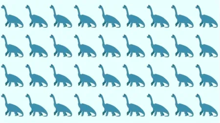 Test de logică | Găsiți singurul dinozaur diferit dintre cei 36 din imagine!