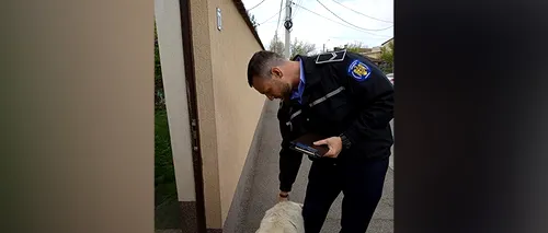 Cum a primit stăpâna unui câine din București amendă de 1.000 de euro. „A fost avertizată”