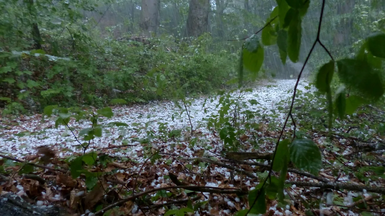 Cod portocaliu de ploi în patru județe / Cod galben de vijelii și grindină în jumătate din țară, valabil până luni seara 