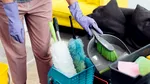 Job neobișnuit. Ești plătit pentru a te filma în timp ce faci curățenie