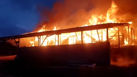 Zeci de porci și iepuri au murit într-un incendiu produs la o fermă din județul Argeș (VIDEO)