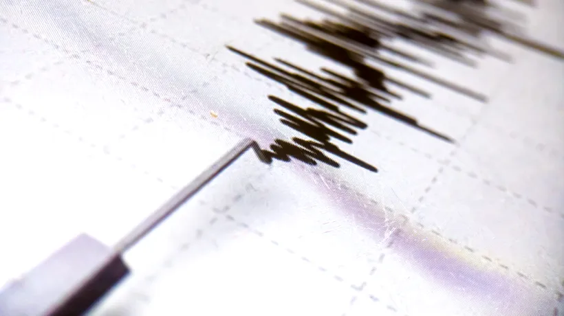 Cutremur în Vrancea, în această dimineaţă. Ce magnitudine a avut seismul