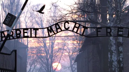 Colegiul Medicilor din Germania le cere scuze  familiilor victimelor Holocaustului pentru crimele medicilor naziști
