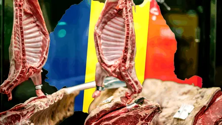 Cum s-a schimbat industria produselor din care din România în ultimii 17 ani. Profiturile au crescut de 8 ori, afacerile s-au triplat