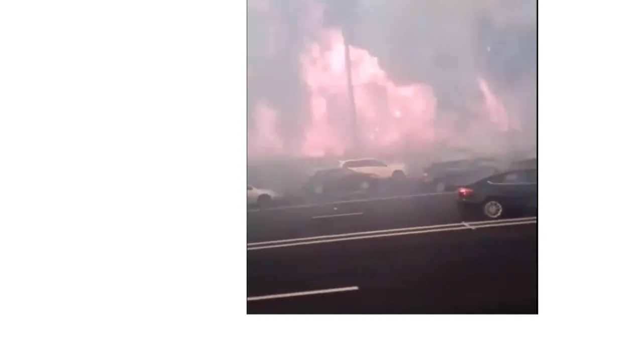 Zeci de mii de locuitori din California au fost evacuați din cauza incendiilor de vegetație