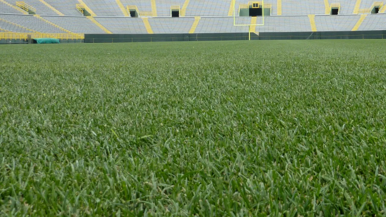 Primăria Arad donează iarbă de pe stadionul UTA, drept amintire