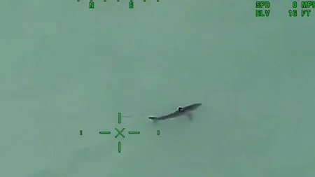 Momente înfiorătoare pe o plajă din California. Oamenii au fost avertizați să iasă din apă imediat