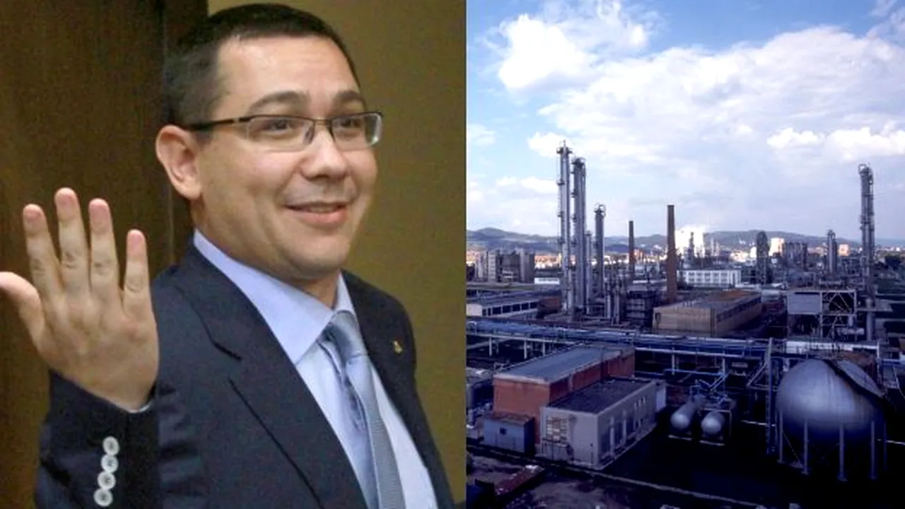 Secretul longevității unui 