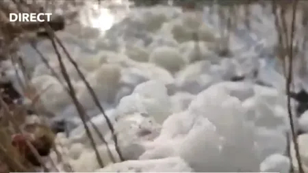 FENOMEN bizar pe litoralul românesc. Lacul Siutghiol a fost acoperit de o spumă densă. Explicația specialiștilor