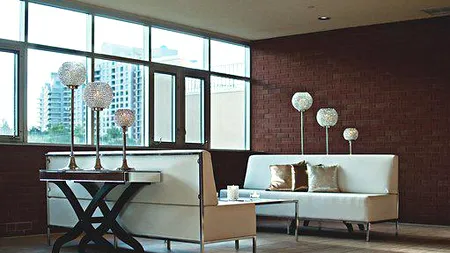 Un român își închiriază apartamentul cu două excepții: Fără animale și romi