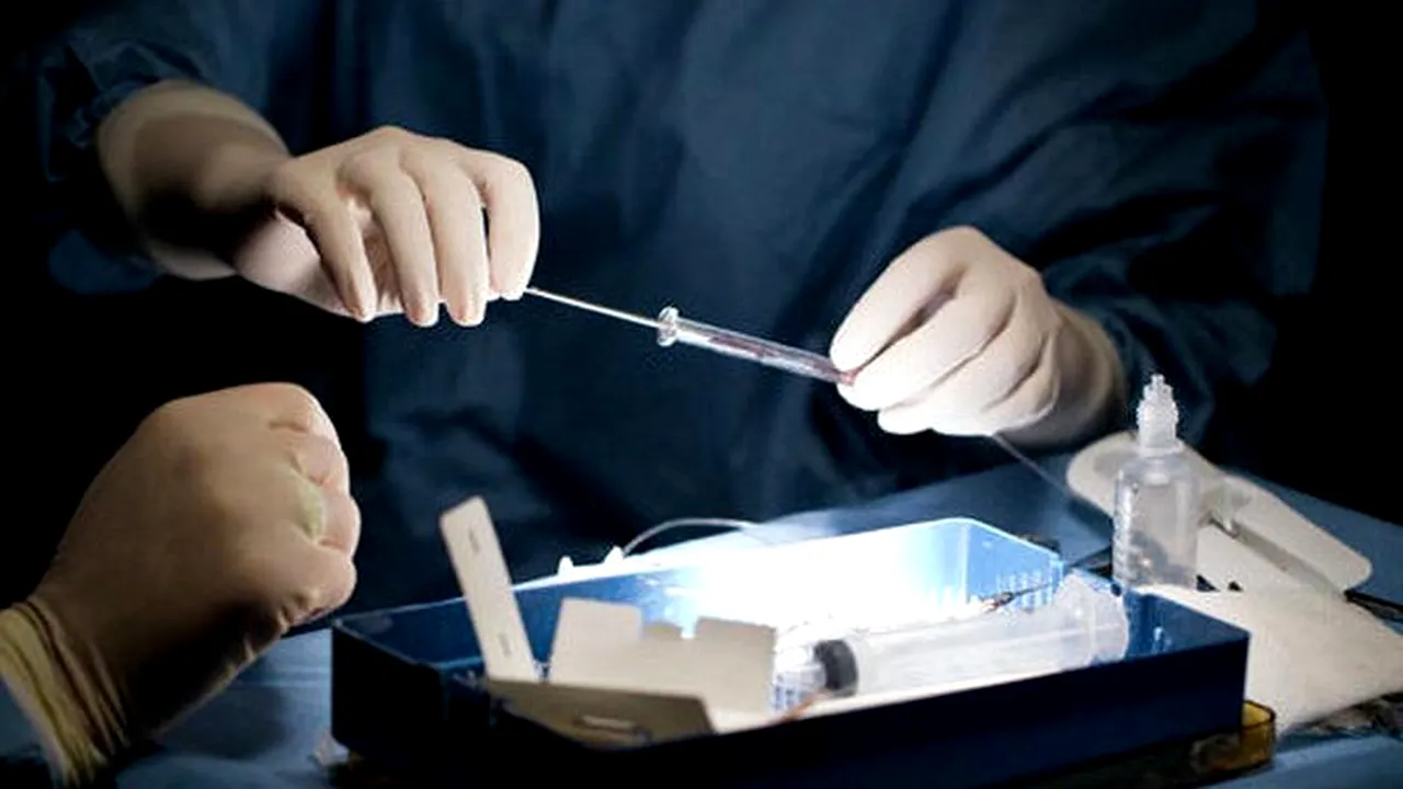 Cercetătorii japonezi au testat pe animale rinichii obținuți în laborator. La ce rezultate au ajuns