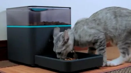 Cum să-ți hrănești pisica sau câinele cu ajutorul smartphone-ului. VIDEO