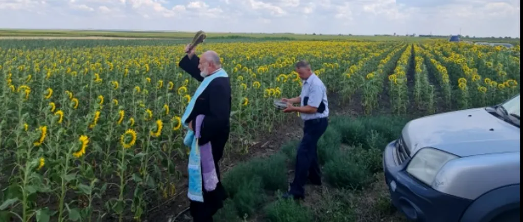 Un primar a adus preotul pe câmp să sfințească recolta și să aducă ploaia. „Mai bine facem un sistem de irigații”