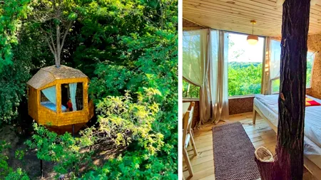 CĂSUȚA din copac, povestea unui vis din copilărie construită de doi foști corporatiști în Prahova: „Am dorit să recreăm acea bucurie de odinioară”