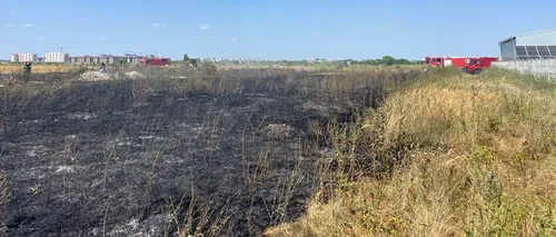 UPDATE: FOTO-VIDEO: Un nou incendiu la marginea Capitalei. Au ars 20 de hectare de vegetație uscată. Circulația mai multor trenuri, afectată