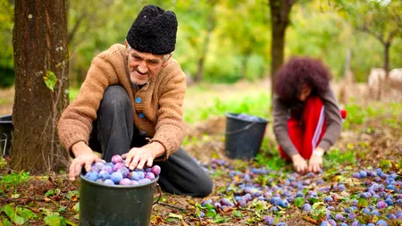 STATISTICĂ: Recensământul General Agricol (RGA) 2020 are loc în perioada 10 mai - 31 iulie 2021. Cine sunt responsabili de întreaga operațiune