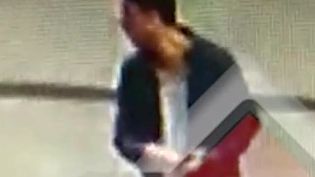 Parchetul General a preluat un dosar cu o fetiță din Iași agresată sexual. Făptașul ar fi olandezul / Poliția a cerut sprijin după doi ani de la incident - VIDEO / FOTO