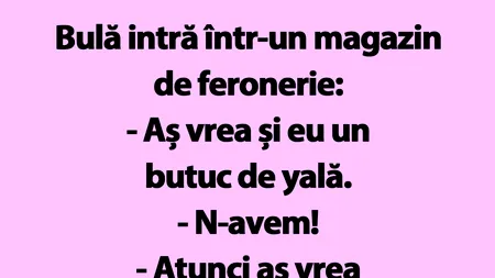 BANC | Bulă intră într-un magazin de feronerie