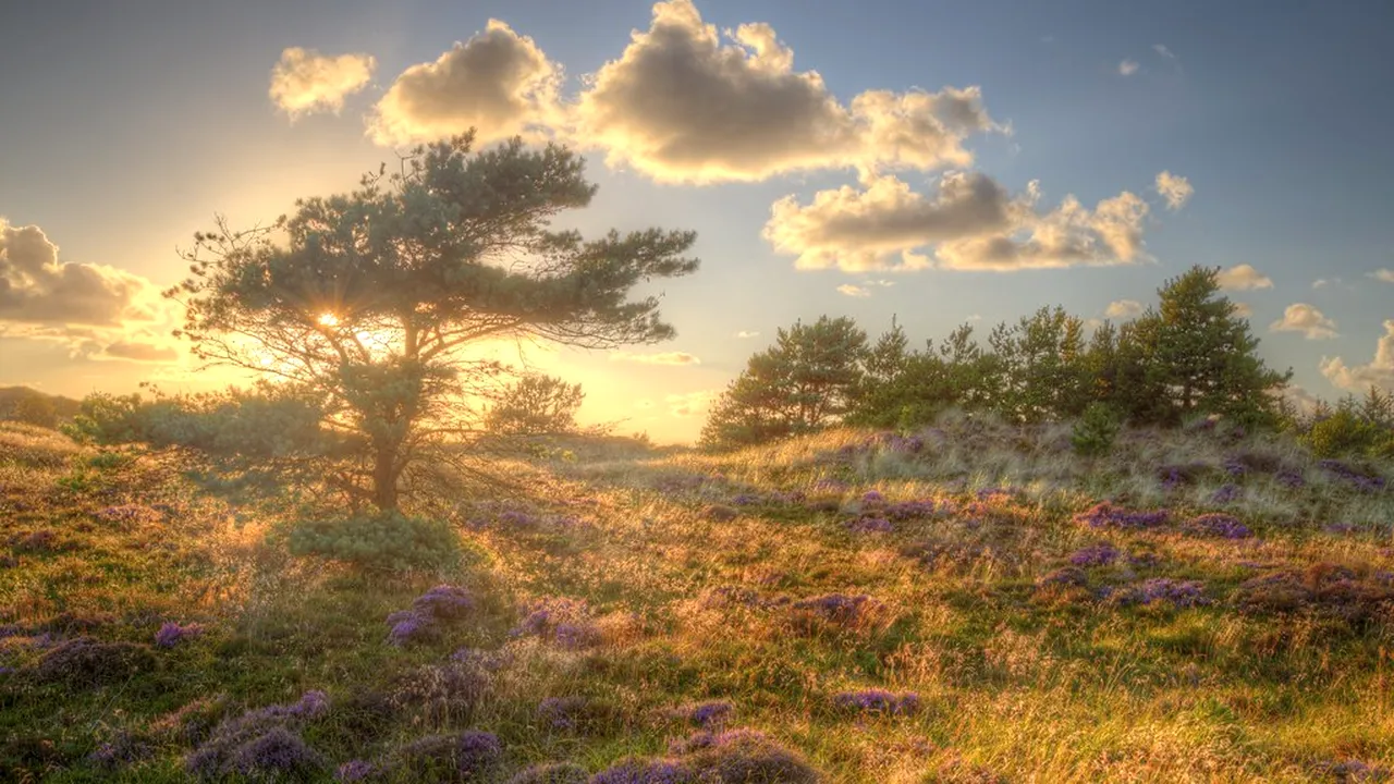 Prognoza ANM pentru intervalul 1 - 15 aprilie 2024. Cum va fi VREMEA în următoarele două săptămâni