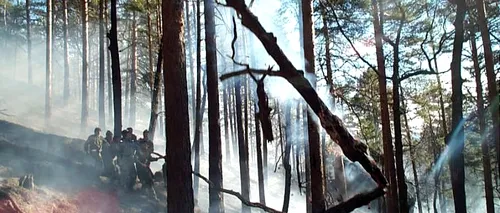 Incendiu puternic într-o zonă împădurită din Bacău, zece hectare de vegetație fiind afectate