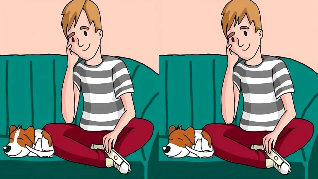 TEST IQ | Aceste două poze par identice, dar nu sunt. Câte diferențe puteți găsi în 16 secunde?