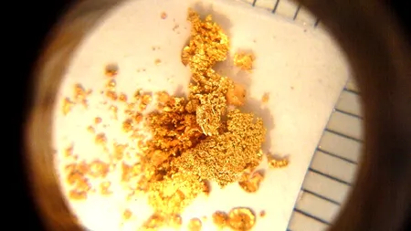 Descoperire neobișnuită a polițiștilor de frontieră din Siberia. Ce ascundea un șofer sub scaunul său