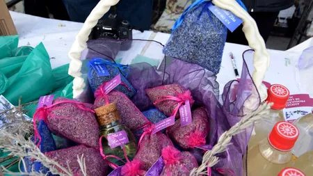 Afacerea care aduce unor familii din Alba profituri uriașe. Un litru de ulei obținut din planta cultivată se vinde cu 150 de euro 

