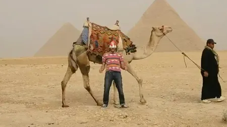 Patru tineri au fost arestați în Egipt după ce au dansat HARLEM SHAKE în public