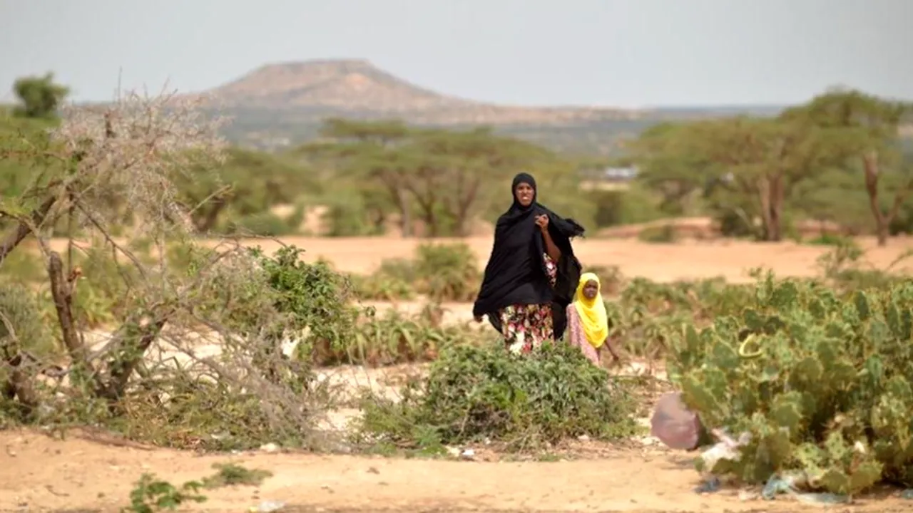 Cum influențează schimbările climatice bunăstarea COPIILOR? UNICEF: „Problema se va agrava în viitor”