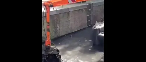 VIDEO | E fascinant ce au scos din apă când au curățat un mare canal din Amsterdam