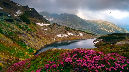 Locuri care sunt interzise pentru turiști în România. De ce nu au voie să ajungă aici